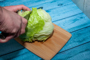 На Кубань завезли египетский салат-латук. Но что с ним нечисто?