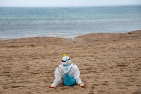 Волонтер на пляже