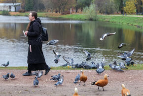 Оказывается, пернатые в парках и зелёных зонах сторонятся женщин сильнее, чем мужчин