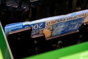 Рассказываем, как действовать безопасно и законно