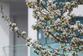 Врач рассказала о способах лечения