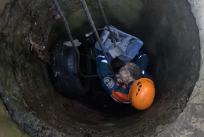 Падение в бездну и спасение за 5 минут: в Сочи йоркширский терьер выбрался из трёхметрового колодца благодаря спасателям МЧС