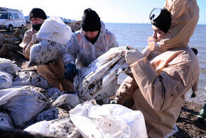 Пляж в Новороссийске покрылся мазутными пятнами