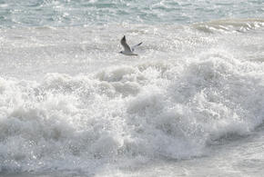 И каким будет этот курортный сезон?