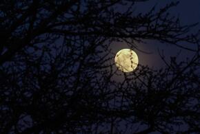 Полнолуние