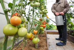 Государство ищет нового владельца за 2,8 миллиарда