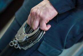 Пьяная женщина напала на полицейского, 50-летнюю жительницу Адыгеи будут судить