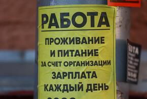 Работа есть: Краснодарский край открывает новые возможности для соискателей