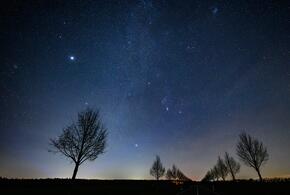 Раки вдохновятся, а Козероги получат необходимую помощь от близких