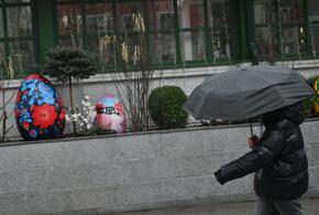 Россияне стали чаще жить в одиночку. Осознанный выбор или вынужденная мера?