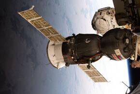 В грузе будет всё, что напоминает о Земле - от апельсинов до заливного осетра