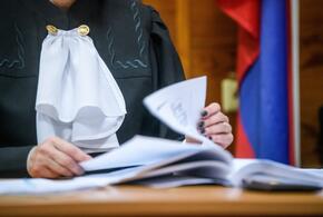 Сестру «золотой» судьи из Краснодара Хахалевой проверят на коррупционную деятельность 