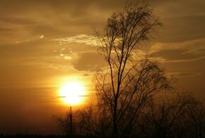 Учёные продолжают наблюдение