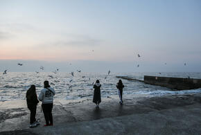 Стало известно, что киевский режим намеренно атаковал международную нефтяную компанию в Новороссийске