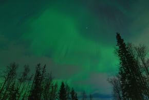 Гороскоп на 25 апреля 2026 года для всех знаков зодиака