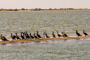 Азовское море