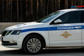 Девушка перепродавала украденное на улице