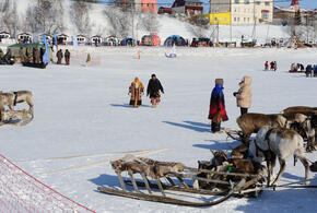 Участники СВО с Кубани теперь могут претендовать на арктический гектар