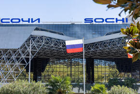 В аэропорту Сочи посадили гималайский кедр. Как он связан с Юрием Гагариным?