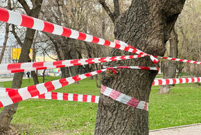 В Красноармейском районе Кубани упали обломки БПЛА, жителей выводят из опасной зоны