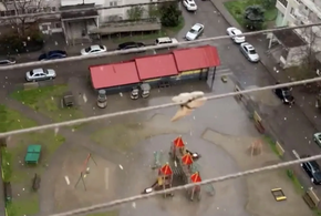 В Краснодаре зима: люди снимают на видео снег