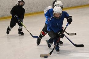 Развитие здорового образа жизни — приоритет региона