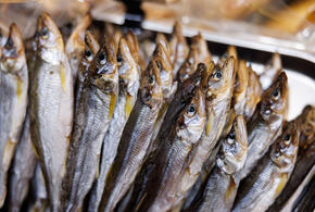 В Новороссийске сотрудники полиции нагрянули в магазин и забрали 700 кг рыбы