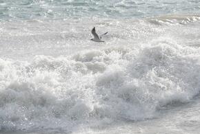 Штормовое море