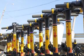 Видео разлетелось в соцсетях