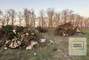 Люди обзванивают инстанции с просьбами убрать свалку и наказать виновных