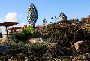 Люди обзванивают инстанции с просьбами убрать свалку и наказать виновных