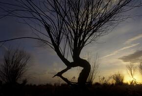 Видели живой: девочку, которая признана погибшей в результате атаки на Туапсе, продолжают искать