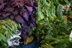 Вкусное и витаминное: восемь ярмарок заработают в субботу в Краснодаре