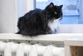 Всё ещё большая коммуналка: в курортной Анапе продлили отопительный сезон