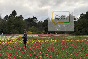 Прогулка по цветущему парку. Фоторепортаж