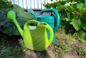 Садовый участок