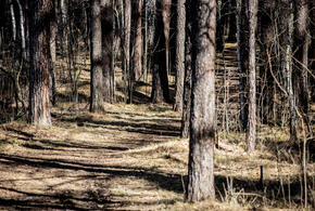 Задушили, а потом по очереди ударили головой о землю: жестокое убийство годовалого дитя раскрыто на Кубани 18+
