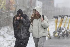 Заморозки возвращаются