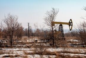 Нефтяной кризис зачем нужен глобалистам