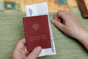 В Госдуме РФ предложили прекратить брать деньги с пенсионеров за подключение газа