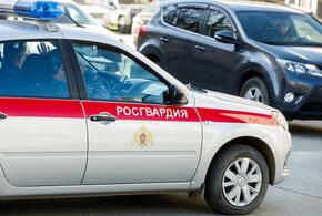Росгвардия