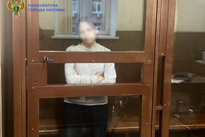 Жестокую женщину, толкнувшую ребёнка на рельсы в московском метро, отправят на принудительное лечение в психбольницу