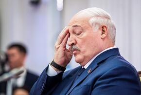 Белорусский лидер рассказал о разговоре с представителями Зеленского