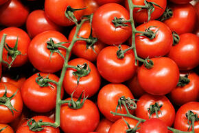 Продукция не прошла контроль