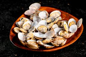 Какой морепродукт станет хитом лета-2026: полный гид по вонголе
