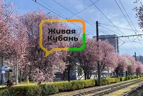 Лицо старого Краснодара: от тракта до улицы Ставропольской 