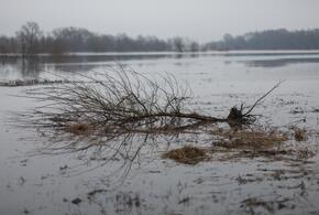Волонтер достал тело погибшего мальчика из воды, а через час появилась информация о смерти спасателя