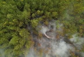 Пожар произошел в Ростовской области