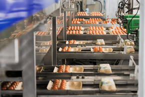 За два месяца предприятия региона выпустили более 200 миллионов штук продукции