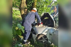 Спасатели в Краснодарском крае вырезали из машины зажатых в груду металла людей. Легковушка превратилась в гармошку после удара о дерево 